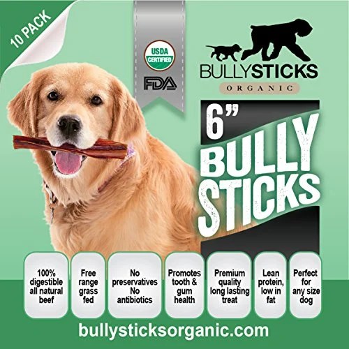 Top 7 Best Dog Bully Sticks & Chews in 2017 (Better than Rawhide)