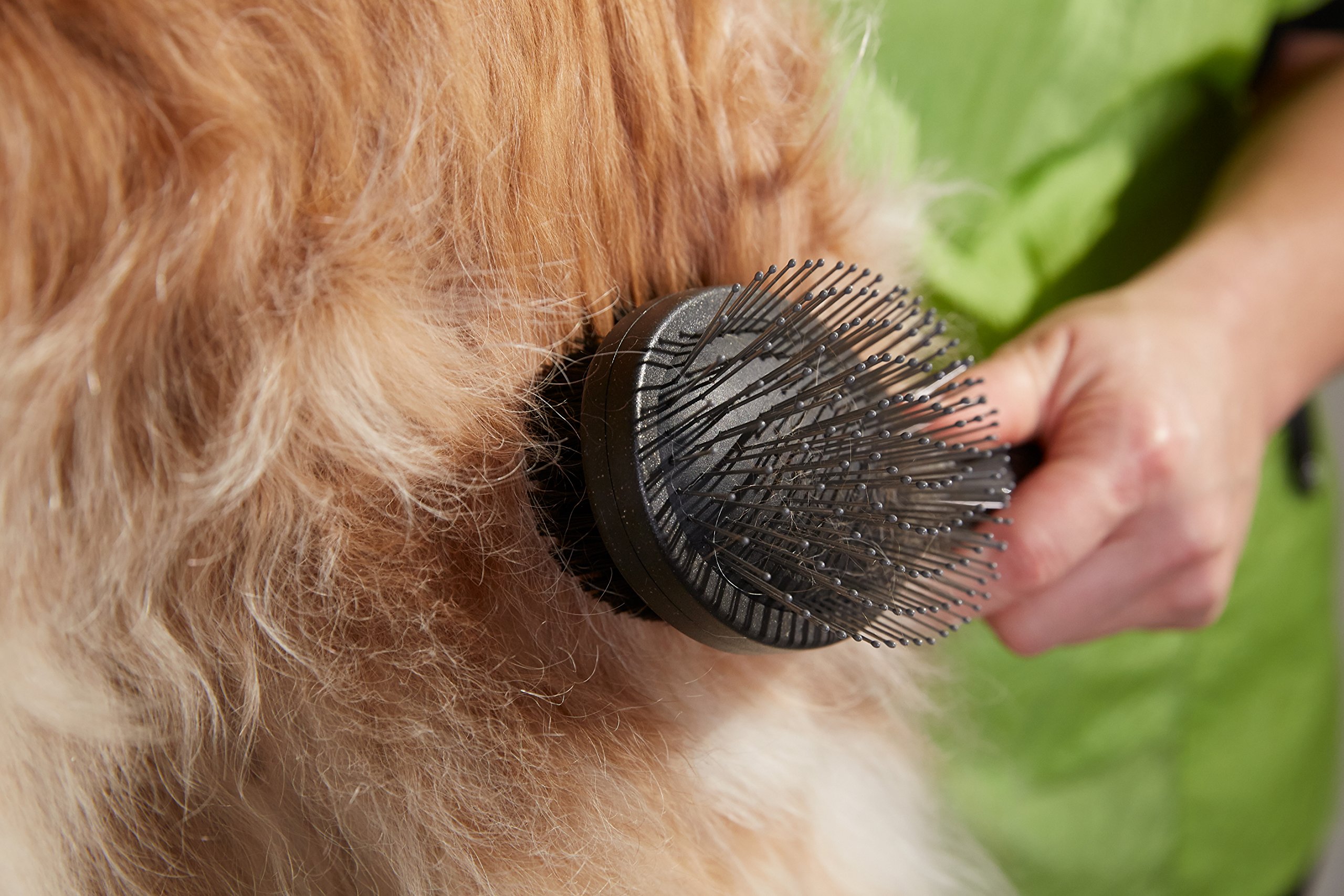 Giveaway Andis Grooming Brush and Happy Dog Zone Shampoo (33+ Value