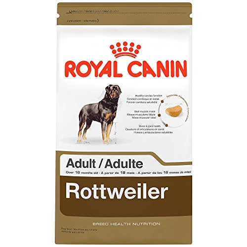 Best Dog Food for Rottweilers 5 Vet Brands