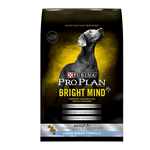 Best Dog Food for Rottweilers 5 Vet Brands