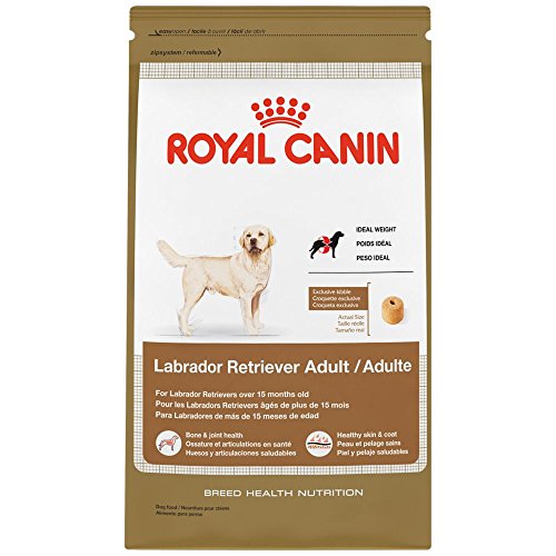 Best Dog Food for Labrador Retrievers 7 Vet Brands