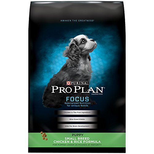 Best Dog Food for Boston Terriers 9 Vet Brands
