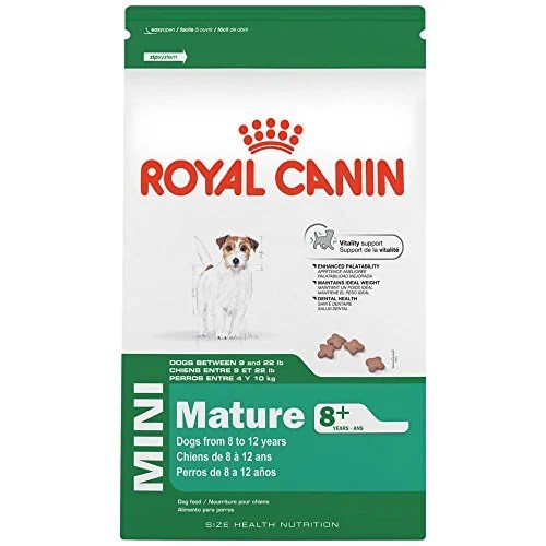 Best Dog Food for Boston Terriers 9 Vet Brands