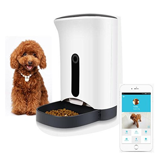 Video Petwant Automatic Pet Feeder Review and Testing