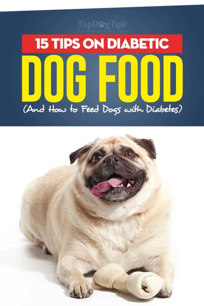 15 Tips on Diabetic Dog Food and How to Feed Dogs with Diabetes