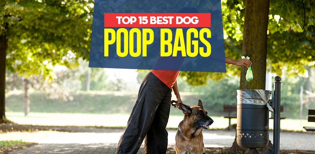 Top 15 Best Dog Poop Bags in 2018 (biodegradable & earthfriendly)