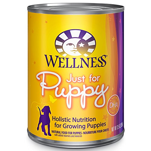 Top 7 Best Canned Puppy Food Brands in 2017 (for small and large dogs)