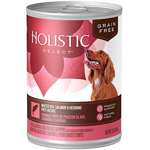 Top 7 Best Canned Puppy Food Brands in 2017 (for small and large dogs)