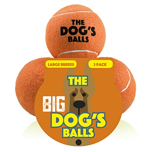 Top 14 Best Big Dog Toys for Large Dogs (that won't get destroyed fast)