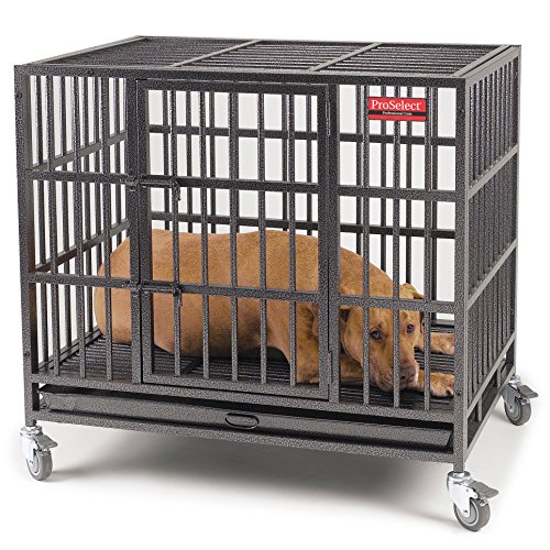 Top 10 Best Metal Dog Crate Choices in 2017 (for small and large dogs)