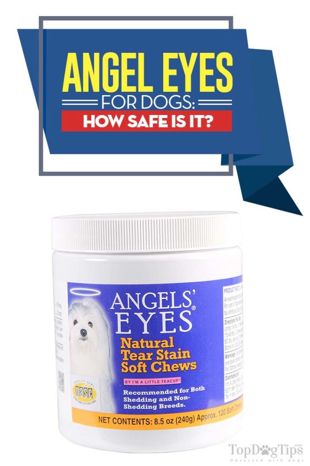 Angel Eyes for Dogs Reviews Is It Safe and What Are the Side Effects?