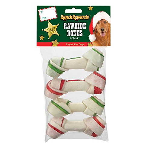 Top 17 Best Christmas Dog Treats (Safely Treat Your Dogs on Holidays)