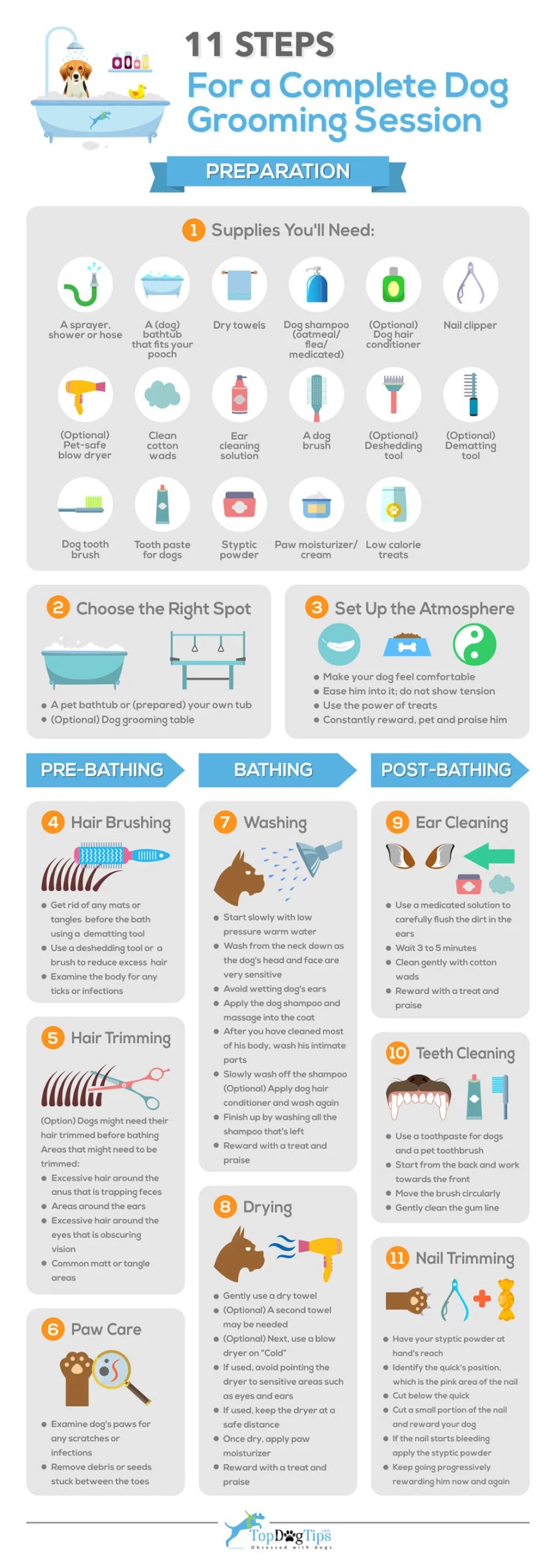 11 Quick Steps for a Complete Dog Grooming Session [Infographic]