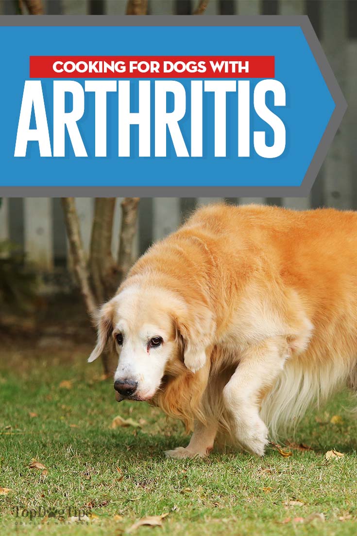 Arthritis Diet for Dogs How You Should Feed Dogs With Arthritis