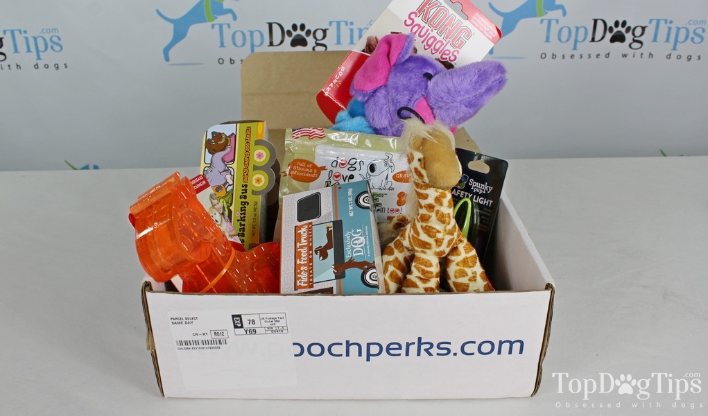Pooch Perks Dog Subscription Box Review and Unboxing (Updated 2023 Price!)