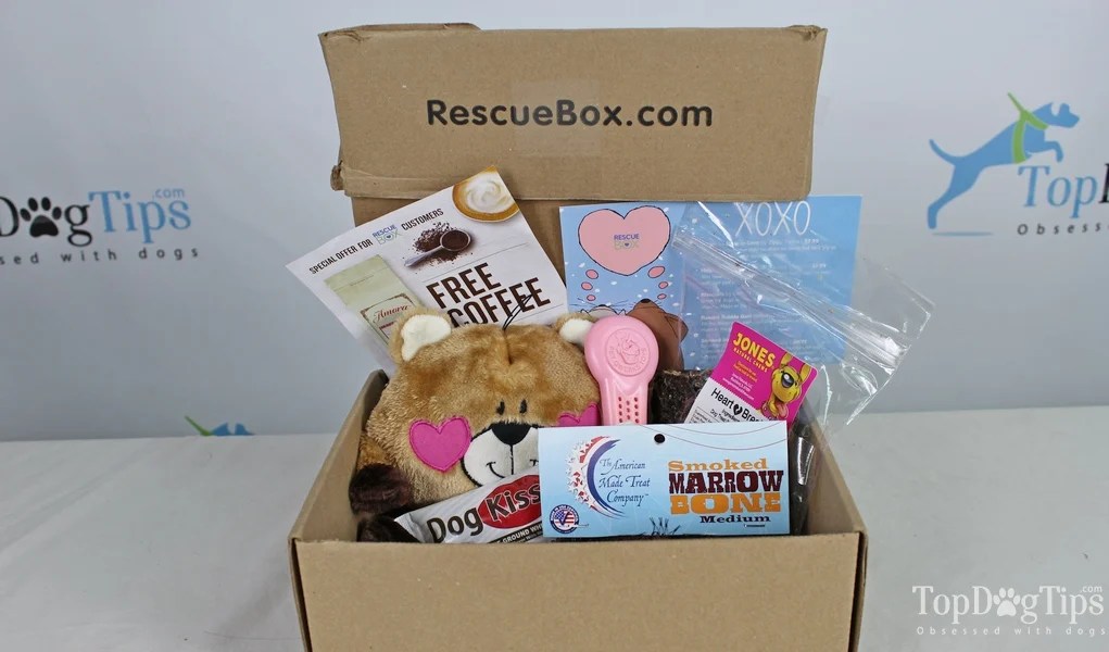 Rescue Box Dog Subscription Box Review (2018)