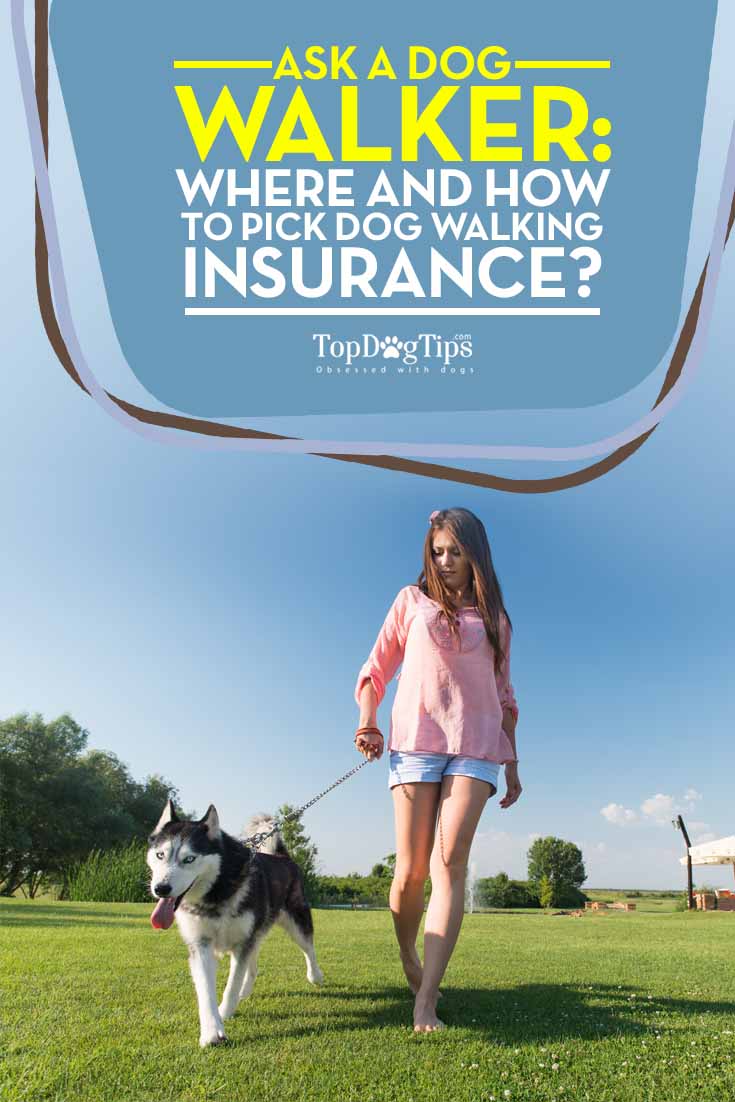 Dog Walking Insurance Why You Need It and How to Find the Best Plans