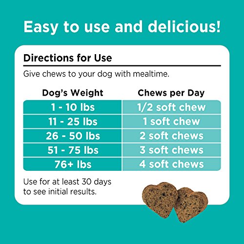 Solid Gold Dog Food, Treats and Supplements Review (2018)
