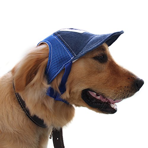 Top 5 Best Dog Hats for Every Occasion in 2018 (summer + winter)