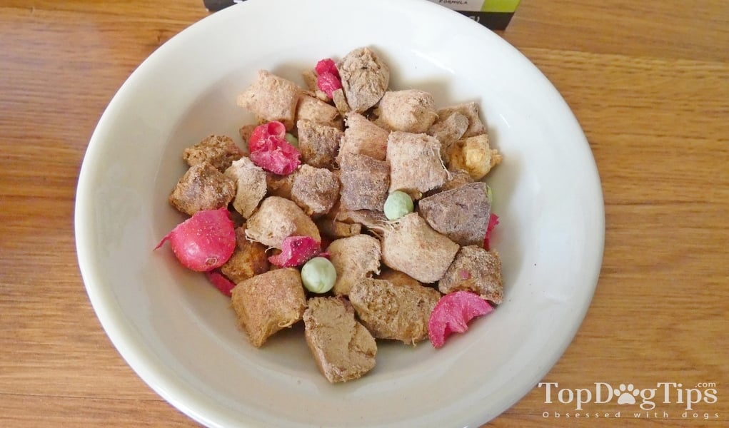 The Simple Food Project FreezeDried Dog Food Review