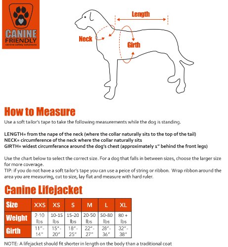 RC Pet Products Canine Friendly Life Jacket for Dogs Review
