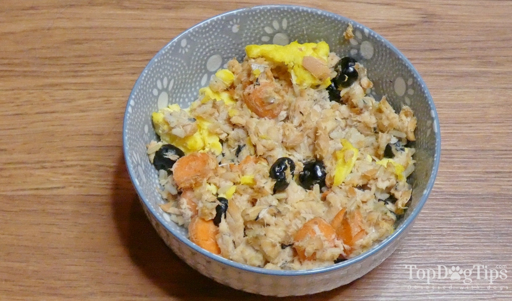 Homemade Dog Food For Post Surgery Recovery Recipe