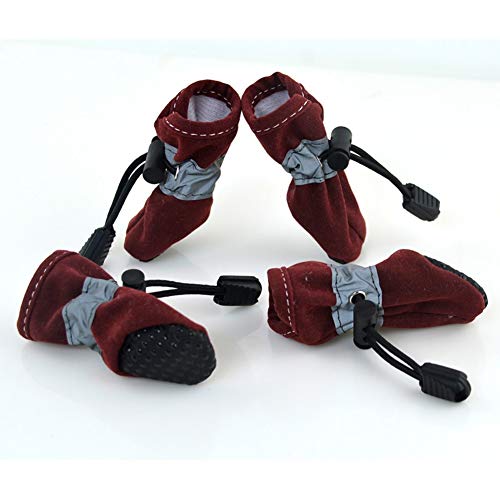 Top 50 Best Dog Shoes of All Time (as rated by pet owners)