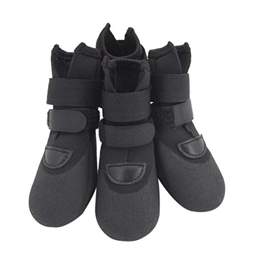 Top 50 Best Dog Shoes of All Time (as rated by pet owners)
