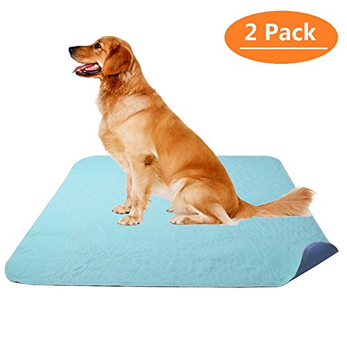 50 Best Dog Pee Pads (2020 Review, Test and Buyer's Guide)