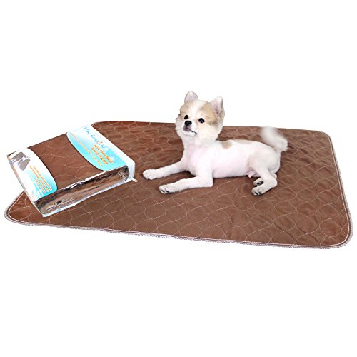 50 Best Dog Pee Pads (2022 Review, Test and Buyer's Guide)