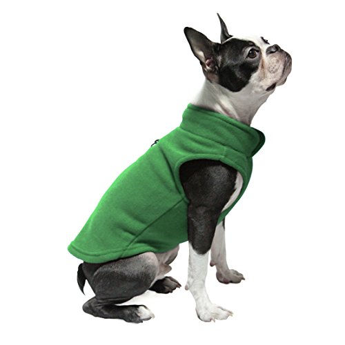 50 Best Dog Winter Clothes (jackets, boots, scarfs, sweaters and more)