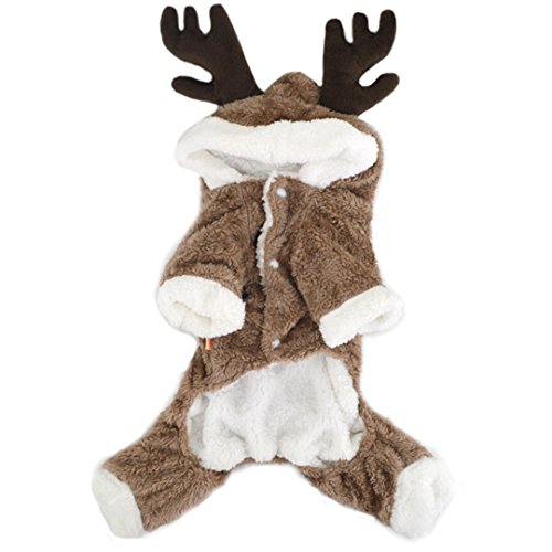 50 Best Dog Winter Clothes (jackets, boots, scarfs, sweaters and more)