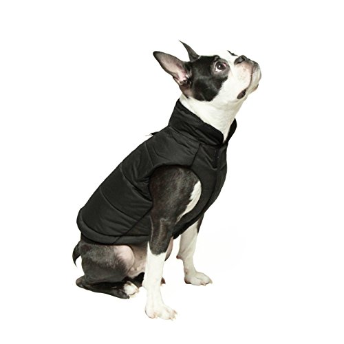 50 Best Dog Winter Clothes (jackets, boots, scarfs, sweaters and more)