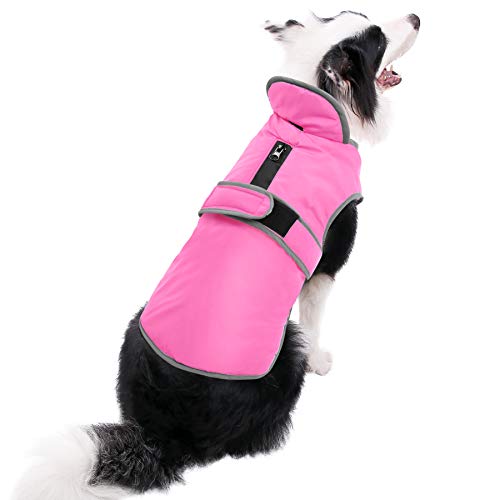 50 Best Dog Winter Clothes (jackets, boots, scarfs, sweaters and more)