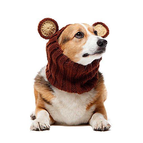 50 Best Dog Winter Clothes (jackets, boots, scarfs, sweaters and more)