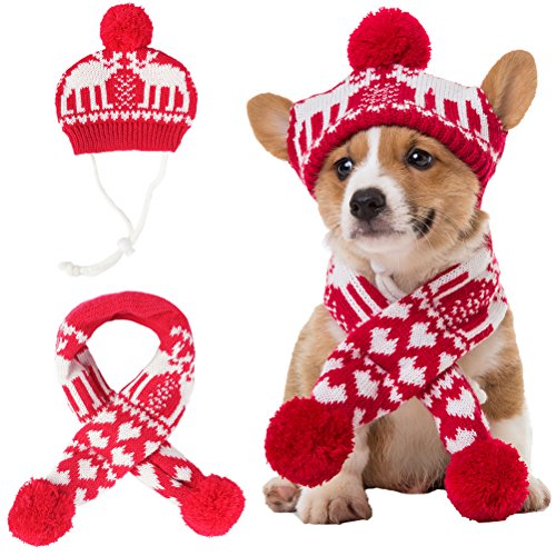50 Best Dog Winter Clothes (jackets, boots, scarfs, sweaters and more)