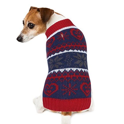 50 Best Dog Winter Clothes (jackets, boots, scarfs, sweaters and more)