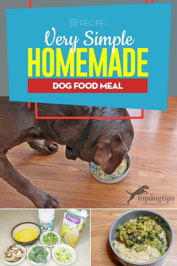 Simple Homemade Dog Food Recipe for Everyday Cooking (Watch)
