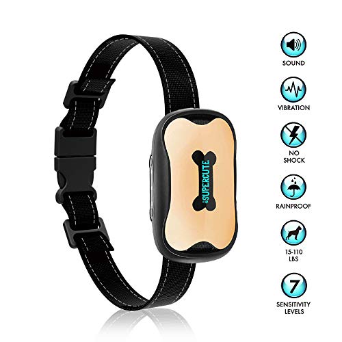 35 Best Dog Bark Collar Brands of 2020 (Different Types, Ranked in Order)