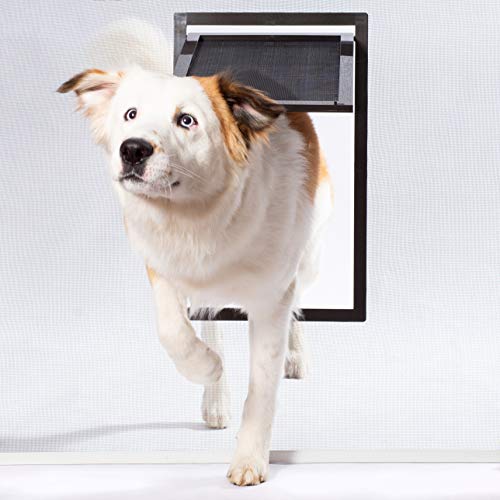 40 Best Dog Door Brands In Walls, Screens, and Doors
