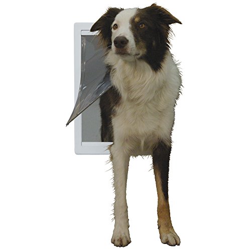40 Best Dog Door Brands: In Walls, Screens, and Doors