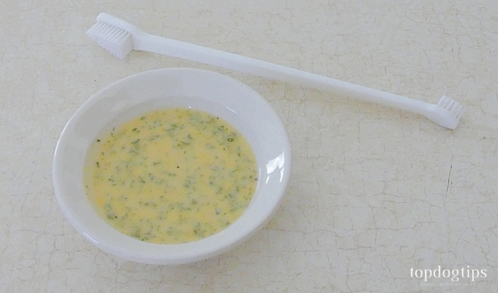 How to Make Dog Toothpaste That's Natural & Effective (Easy DIY Guide)