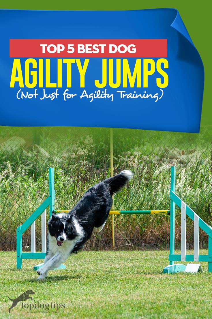 Best Dog Agility Jumps for Official Training (AKC) or Home Exercise