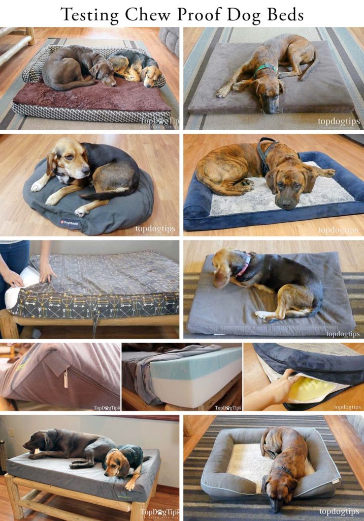 6 Most ChewProof Dog Beds 2021