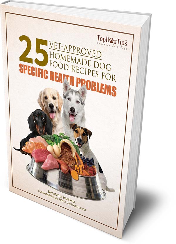 Homemade Veterinary Diets VetGirl Veterinary CE Blog