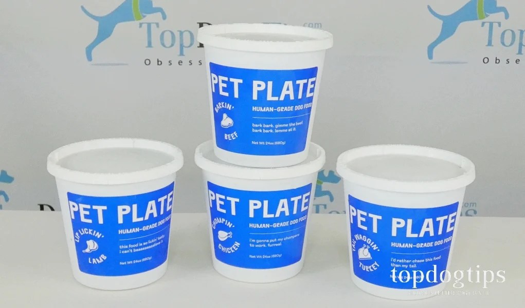 Pet Plate Fresh Dog Food Delivery Review and Testing with My Dogs
