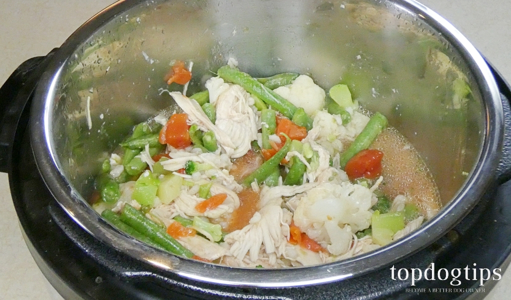 Homemade Chicken Stew for Dogs Recipe