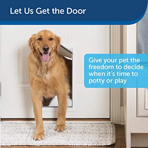 5 Best Patio Pet Doors for Dogs in 2020