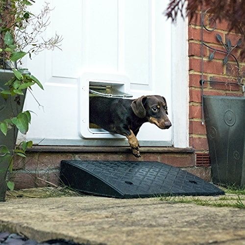 The Best Electronic Automatic Dog Doors Top Dog Tips