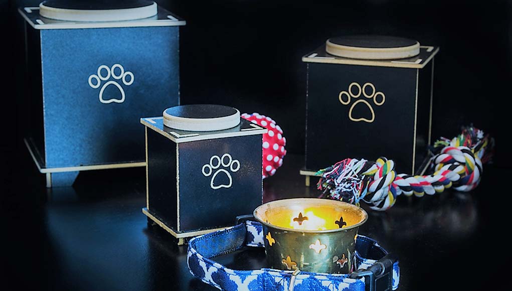 How Much Does It Cost to Cremate a Dog? Top Dog Tips